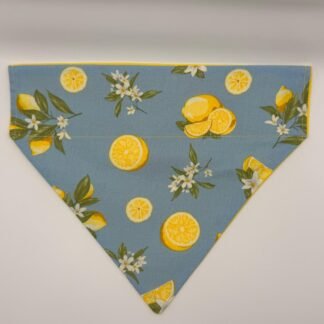 Lemon Print