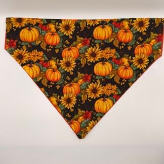 Pumpkin Patch dog bandana with orange pumpkins and sunflowers on black background, collar-through sleeve
